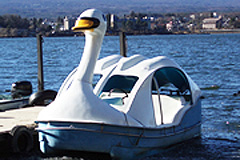 swan_boat